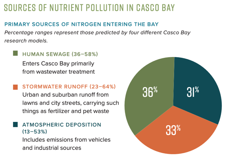 Sources of Pollution
