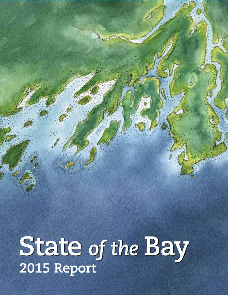 2015 State of the Bay Report