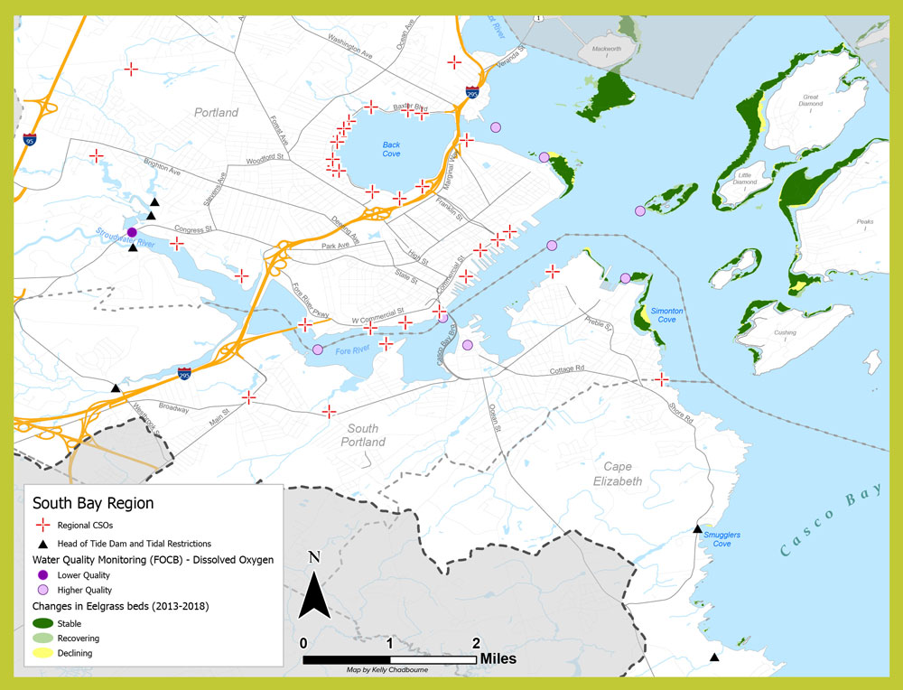 There are numerous combined sewer overflows in the region. There are also head of tide dam and tidal restrictions, water quality monitoring sites, and eelgrass beds.