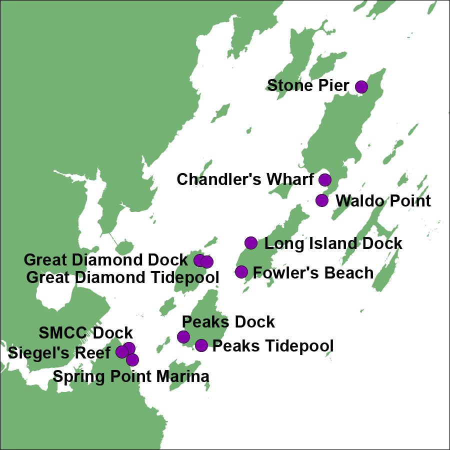 MIMIC sampling sites are located at South Portland, Peaks Island, Great Diamond Island, Long Island, and Chebeague Island.