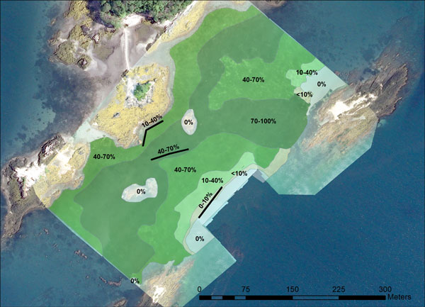 Aerial photo looking down at a small area of rocky shores and adjacent eelgrass beds. Eelgrass areas are overlaid with light, medium, or dark green to indicate percentage of eelgrass cover based on data collected using a drone. Central area is dark green representing 70 to 100 percent cover. It is flanked by medium green area representing 40 to 70 percent cover. There are also small areas of light green representing 10 to 40 percent cover.