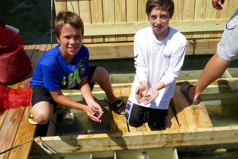 Two boys hold tiny oysters at an oyster farm