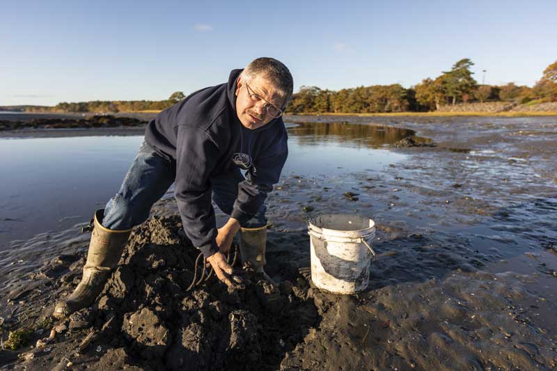 A clam harvester digging for clams in a large mudflat
