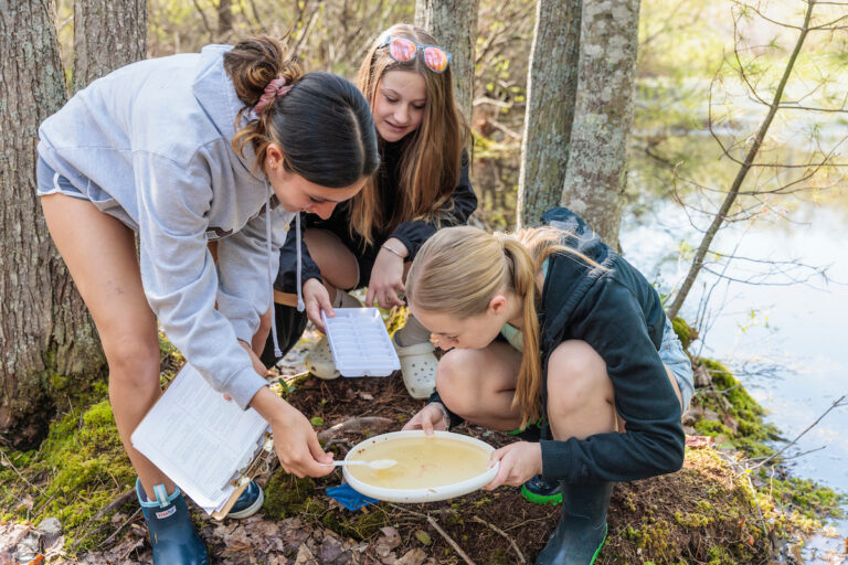 Gorham Middle School students sample a vernal pool for animal life.